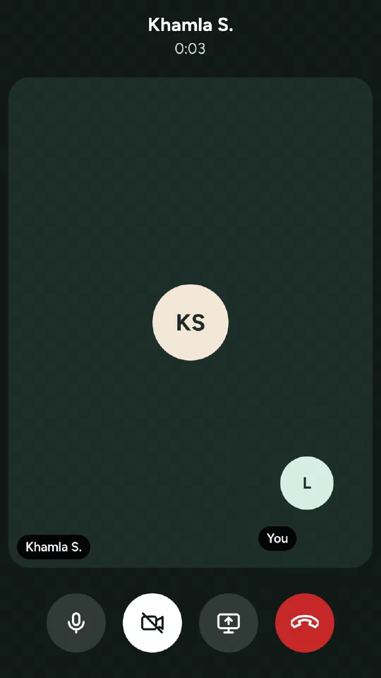 A voice call in progress with the call controls